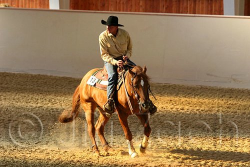 QH062_2438n.jpg