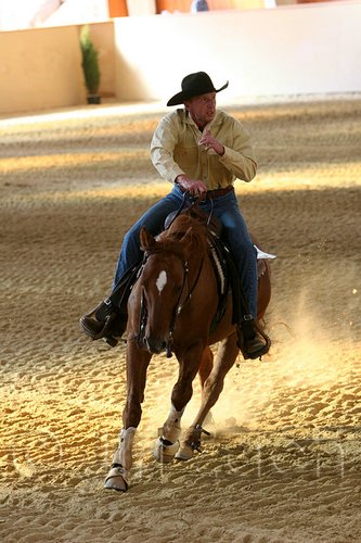 QH062_2450n.jpg