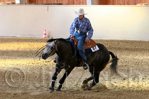 QH062_2494n.jpg