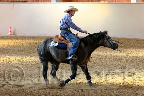 QH062_2500n.jpg
