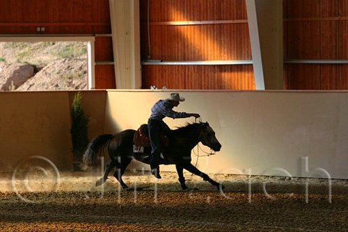 QH062_2501n.jpg