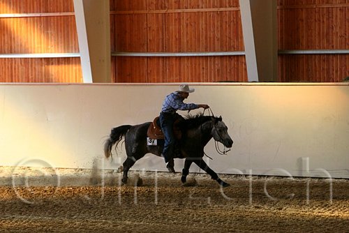 QH062_2503n.jpg