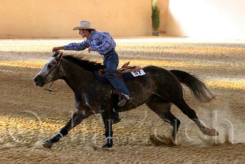 QH062_2507n.jpg