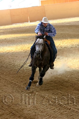 QH062_2511n.jpg