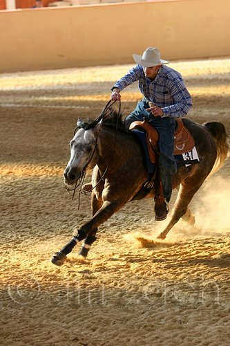 QH062_2519n.jpg