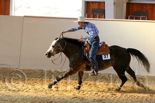 QH062_2523n.jpg