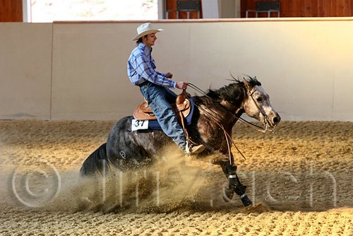 QH062_2529n.jpg