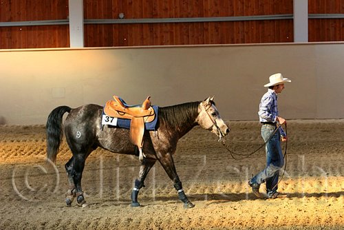 QH062_2532n.jpg