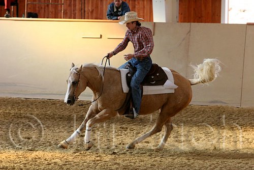 QH062_2560n.jpg