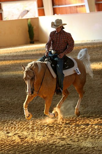 QH062_2562n.jpg