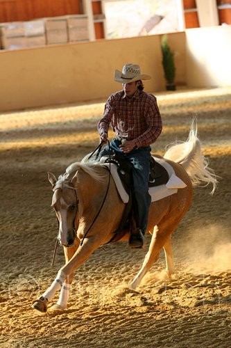 QH062_2563n.jpg