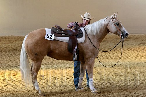 QH062_2569n.jpg