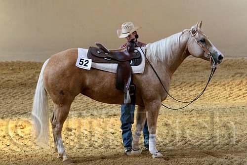 QH062_2570n.jpg