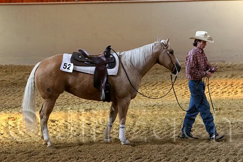 QH062_2571n.jpg