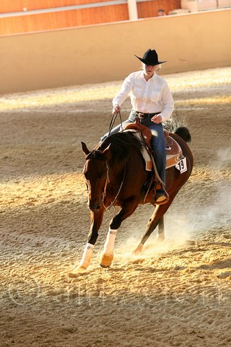 QH062_2582n.jpg
