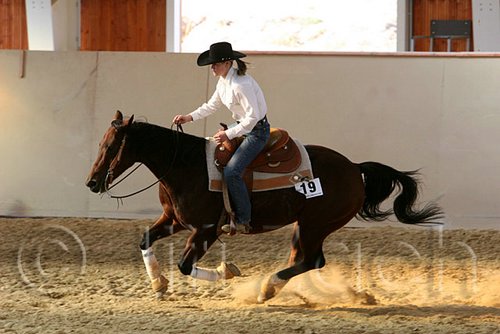 QH062_2589n.jpg