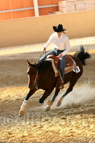 QH062_2590n.jpg