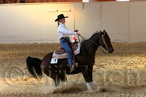 QH062_2593n.jpg