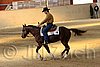 QH062_1870n.jpg