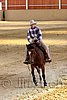 QH062_1902n.jpg