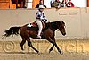 QH062_1904n.jpg