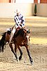 QH062_1905n.jpg