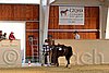 QH062_1912n.jpg
