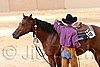 QH062_1950n.jpg