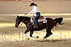 QH062_1955n.jpg