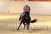 QH062_1986n.jpg