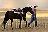 QH062_1992n.jpg