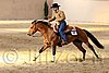 QH062_1993n.jpg