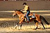 QH062_1994n.jpg