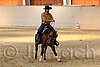 QH062_2007n.jpg