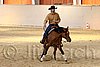 QH062_2013n.jpg