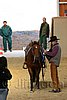 QH062_2020n.jpg