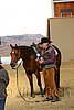 QH062_2023n.jpg