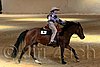 QH062_2139n.jpg
