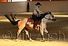 QH062_2155n.jpg