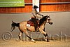 QH062_2169n.jpg