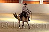 QH062_2174n.jpg