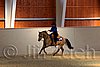 QH062_2228n.jpg