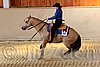 QH062_2245n.jpg