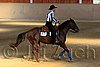 QH062_2303n.jpg