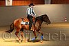 QH062_2309n.jpg