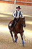 QH062_2317n.jpg