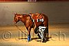 QH062_2320n.jpg