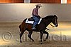 QH062_2383n.jpg