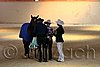 QH062_2419n.jpg