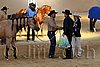 QH062_2422n.jpg